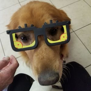 Meet your Posher, Gina